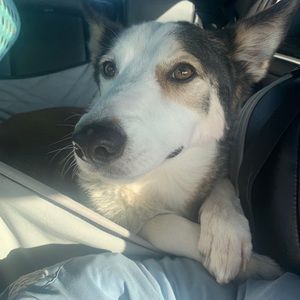 Meet your Posher, Christian